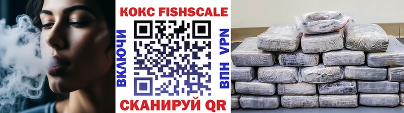КОКАИН Fish Scale  даркнет сайт  Котлас 