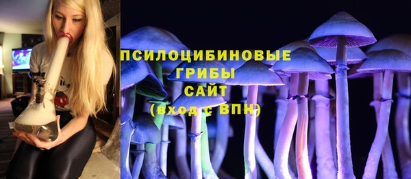 прущая мука Абаза