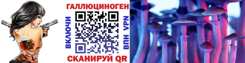 где продают Котлас Псилоцибиновые грибы прущие грибы