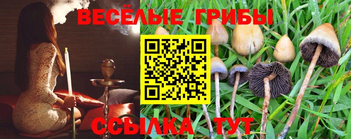 Галлюциногенные грибы GOLDEN TEACHER Котлас