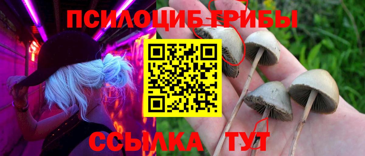 Псилоцибиновые грибы мухоморы  даркнет сайт  Котлас  Галлюциногенные грибы мицелий  Вход с VPN 